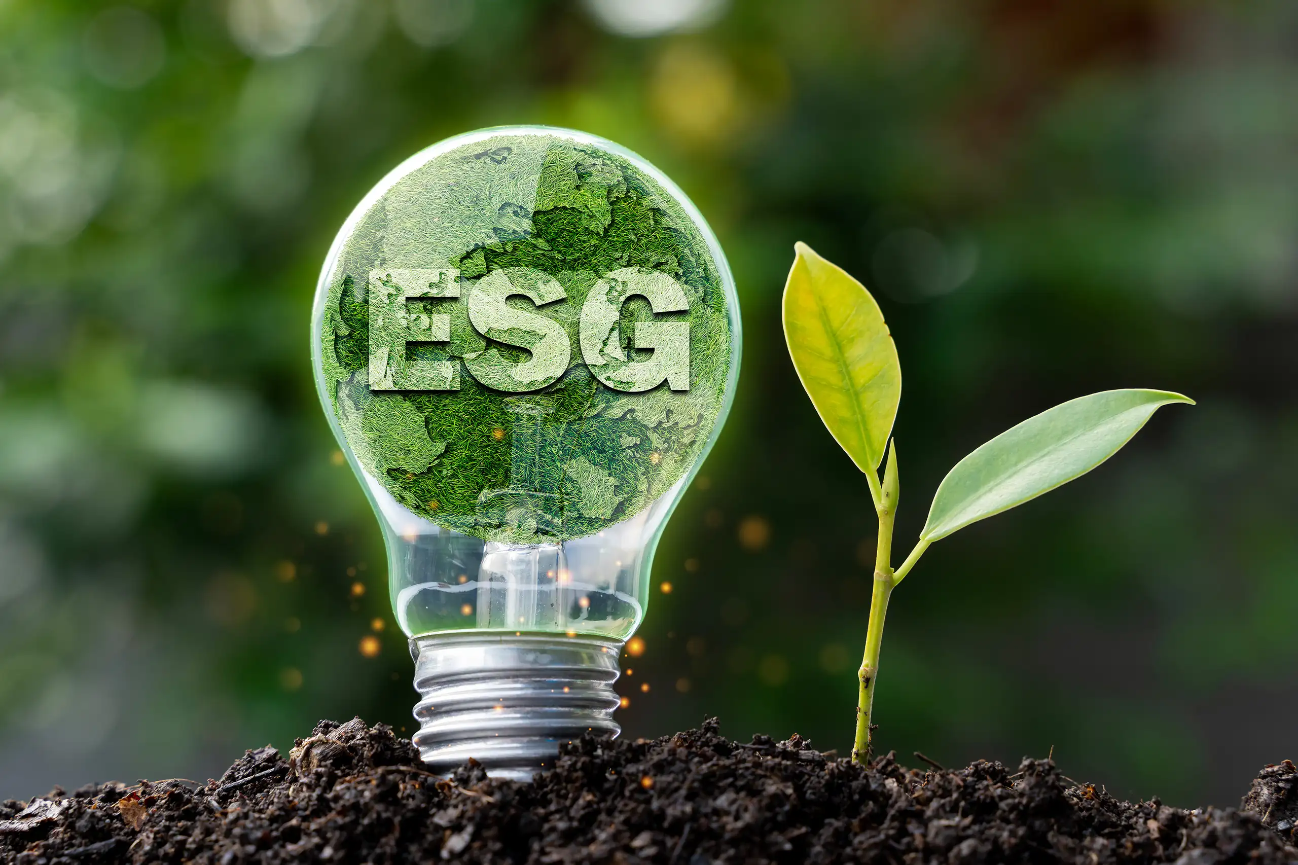Sustainable Investment Funds: Market Context and Signals