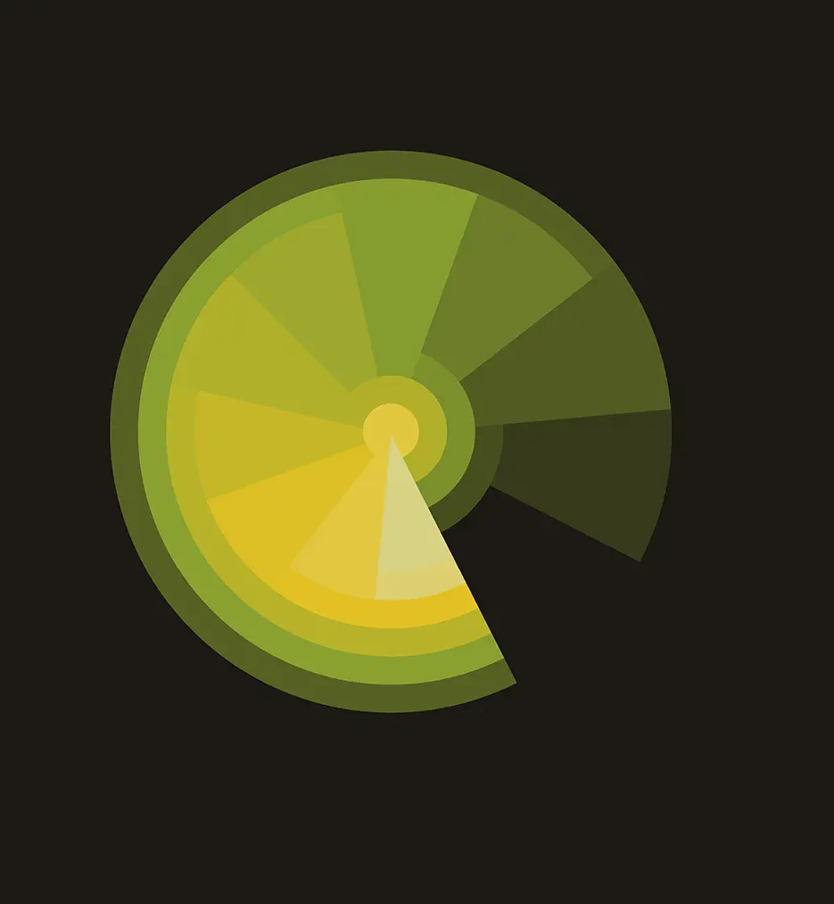 Circular green and yellow diagram representing Carvina Capital’s systematic investment decision process and evaluation framework.